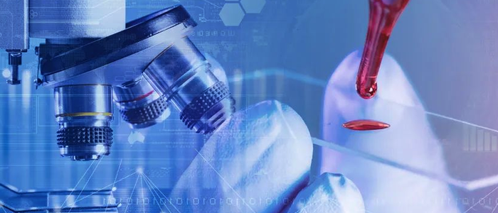 凯发K8国际网络+银丰生物集团 打造科研创新“加速度”